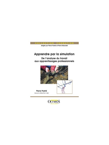 Apprendre par la simulation - De l'analyse du travail aux apprentissages professionnels