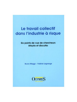 Le travail collectif dans l’industrie à risque - Six points de vue de chercheurs étayés et discutés