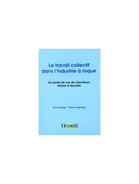 Le travail collectif dans l’industrie à risque - Six points de vue de chercheurs étayés et discutés