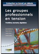 Les groupes professionnels en tension - Frontières, tournants, régulations