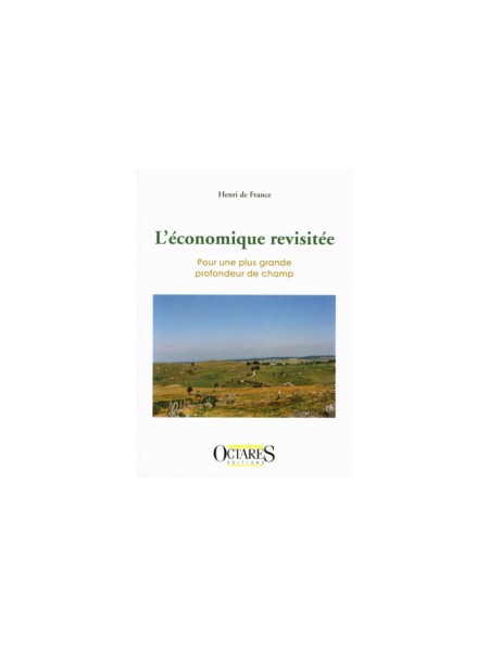 L'économique revisitée - Pour une plus grande profondeur de champ