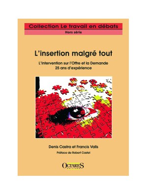 L'insertion malgré tout - L'Intervention sur l'Offre et la Demande - 25 ans d'expérience