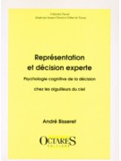 Représentation et décision experte - Psychologie cognitive de la décision chez les aiguilleurs du ciel